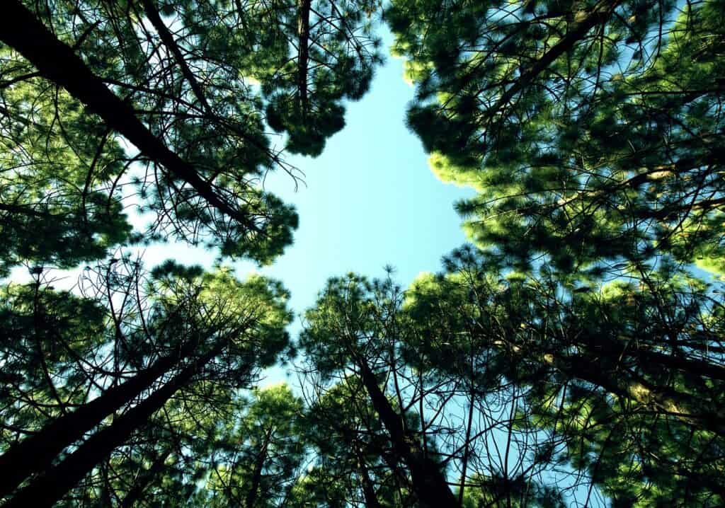 Natur